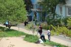 Subbotnik_dos_30_23_04_2016_10